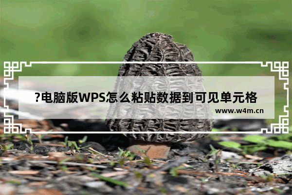 ?电脑版WPS怎么粘贴数据到可见单元格