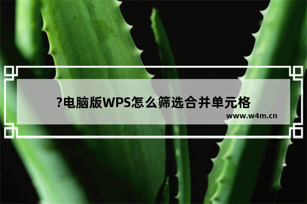 ?电脑版WPS怎么筛选合并单元格