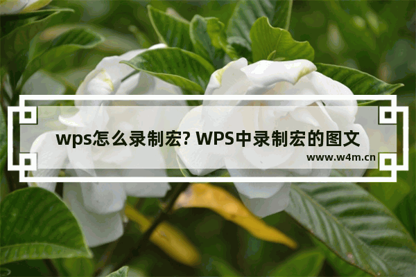 wps怎么录制宏? WPS中录制宏的图文教程