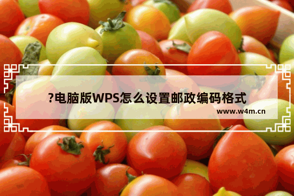 ?电脑版WPS怎么设置邮政编码格式