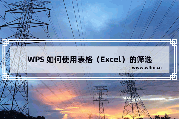 WPS 如何使用表格（Excel）的筛选功能？