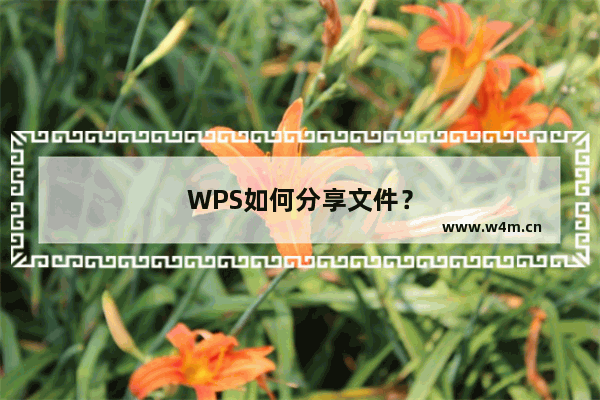 WPS如何分享文件？