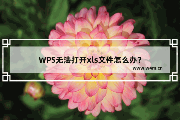 WPS无法打开xls文件怎么办？