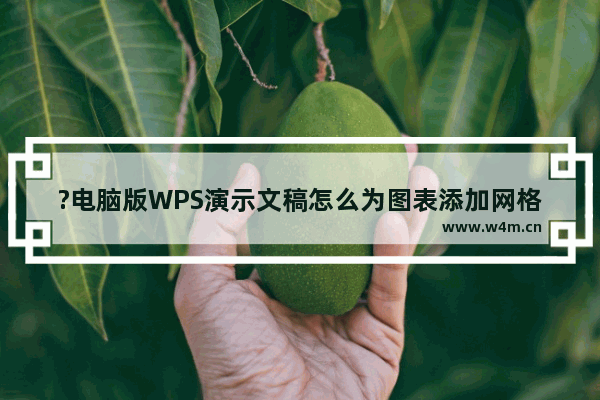 ?电脑版WPS演示文稿怎么为图表添加网格线