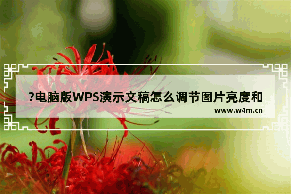 ?电脑版WPS演示文稿怎么调节图片亮度和对比度