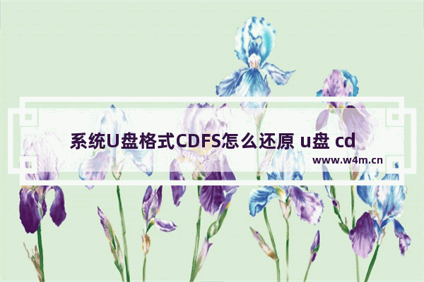 系统U盘格式CDFS怎么还原 u盘 cdrom