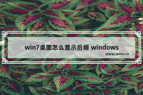 win7桌面怎么显示后缀 windows7怎么显示后缀