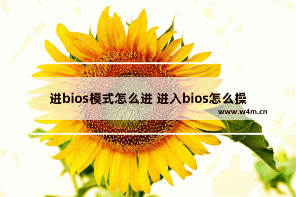 进bios模式怎么进 进入bios怎么操作