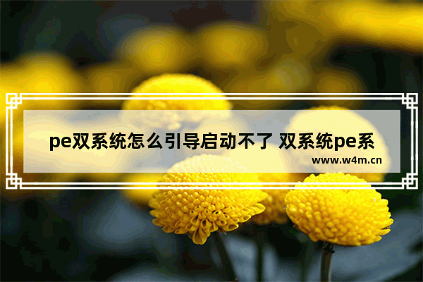 pe双系统怎么引导启动不了 双系统pe系统引导修复只出一个系统