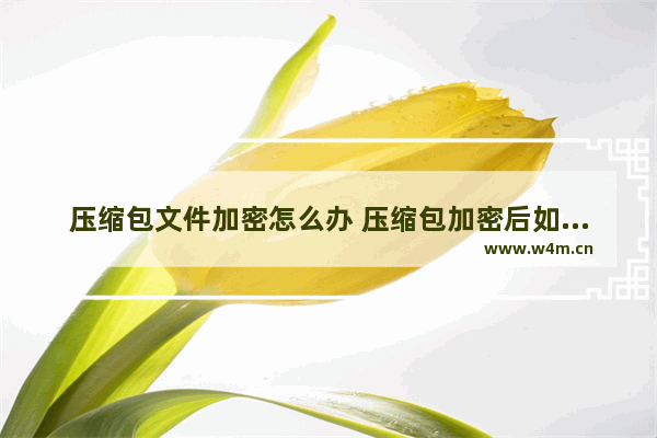 压缩包文件加密怎么办 压缩包加密后如何打开