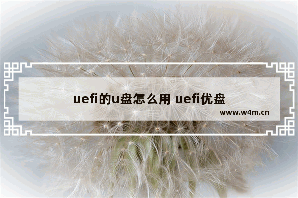 uefi的u盘怎么用 uefi优盘