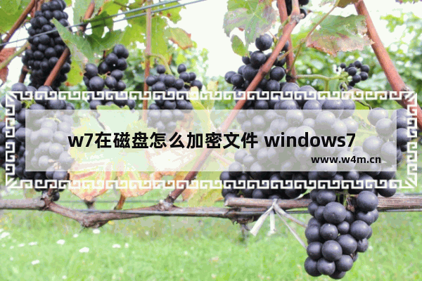 w7在磁盘怎么加密文件 windows7磁盘加密码怎么设置密码