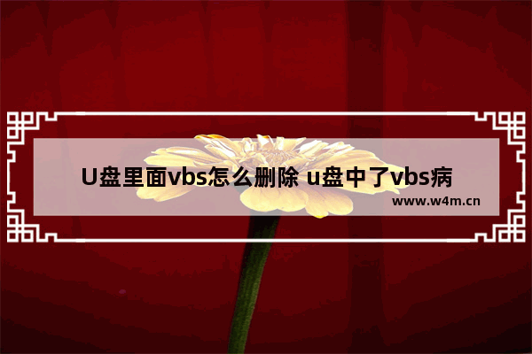 U盘里面vbs怎么删除 u盘中了vbs病毒怎么办