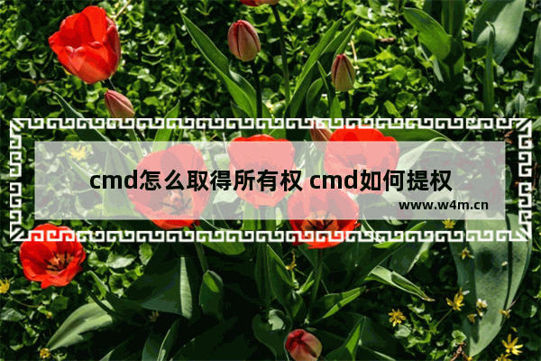 cmd怎么取得所有权 cmd如何提权