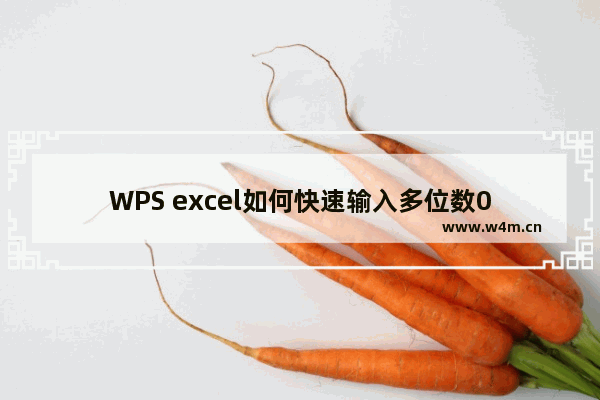 WPS excel如何快速输入多位数0