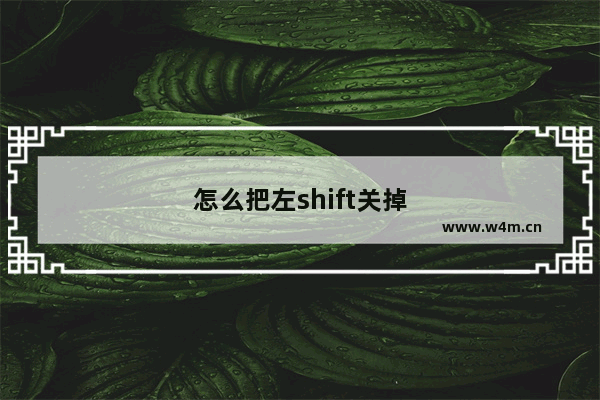 怎么把左shift关掉