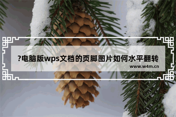 ?电脑版wps文档的页脚图片如何水平翻转