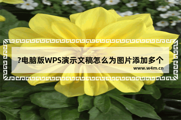 ?电脑版WPS演示文稿怎么为图片添加多个动画