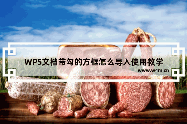 WPS文档带勾的方框怎么导入使用教学