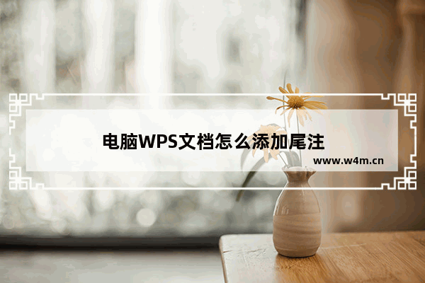 电脑WPS文档怎么添加尾注