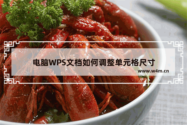 电脑WPS文档如何调整单元格尺寸