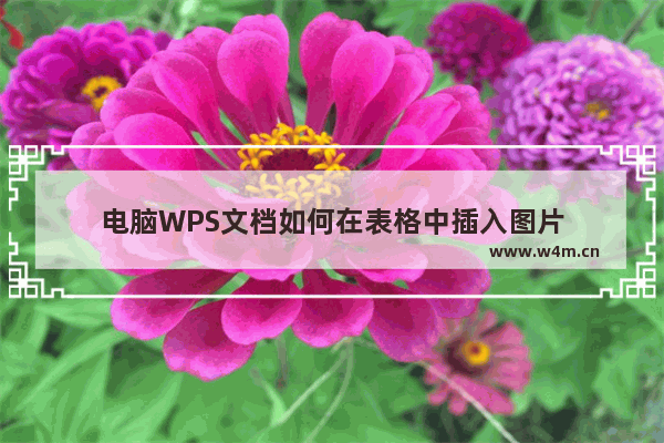 电脑WPS文档如何在表格中插入图片