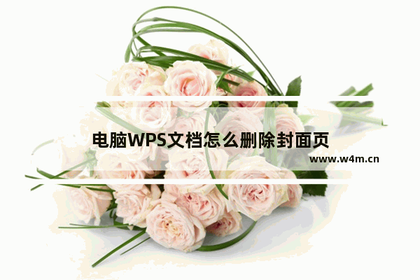 电脑WPS文档怎么删除封面页