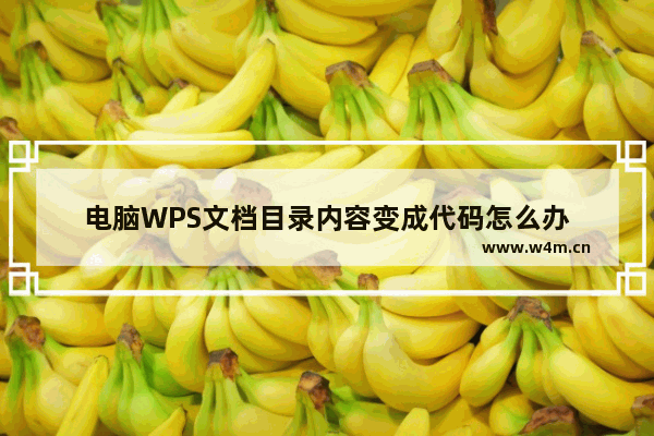 电脑WPS文档目录内容变成代码怎么办