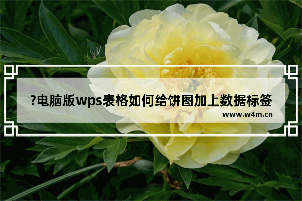 ?电脑版wps表格如何给饼图加上数据标签