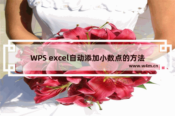 WPS excel自动添加小数点的方法