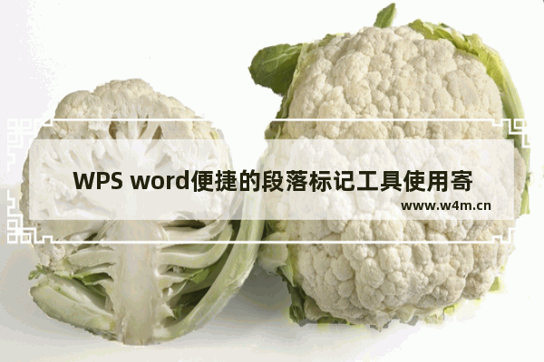 WPS word便捷的段落标记工具使用寄出教程