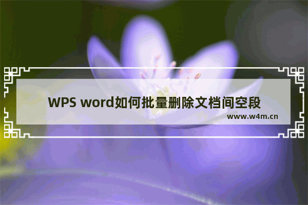 WPS word如何批量删除文档间空段