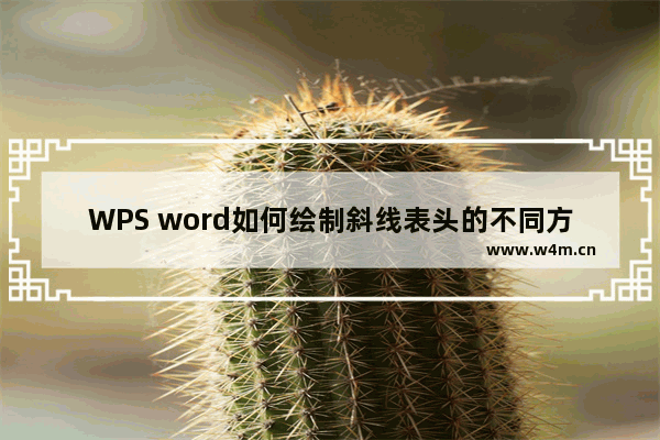 WPS word如何绘制斜线表头的不同方法