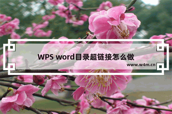 WPS word目录超链接怎么做