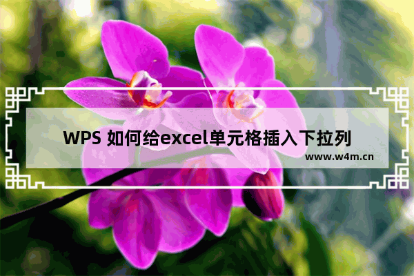 WPS 如何给excel单元格插入下拉列表