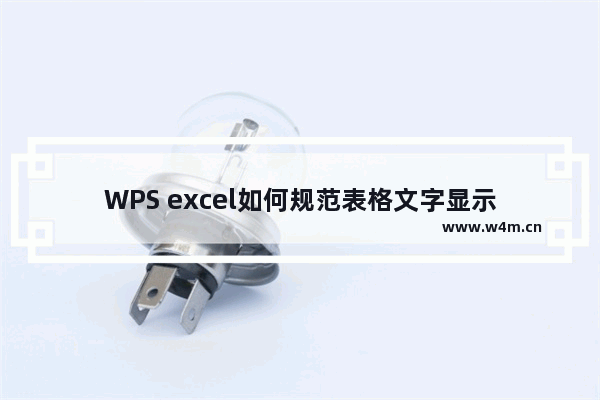 WPS excel如何规范表格文字显示