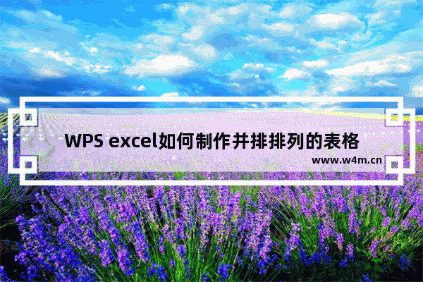 WPS excel如何制作并排排列的表格