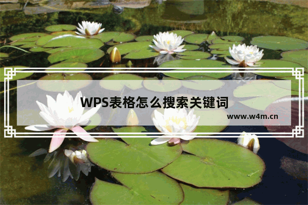 WPS表格怎么搜索关键词