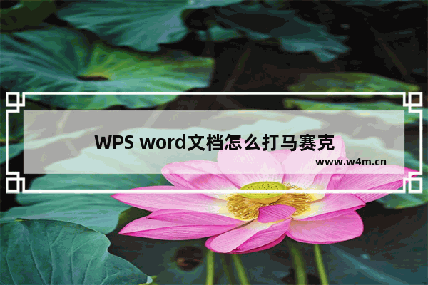 WPS word文档怎么打马赛克