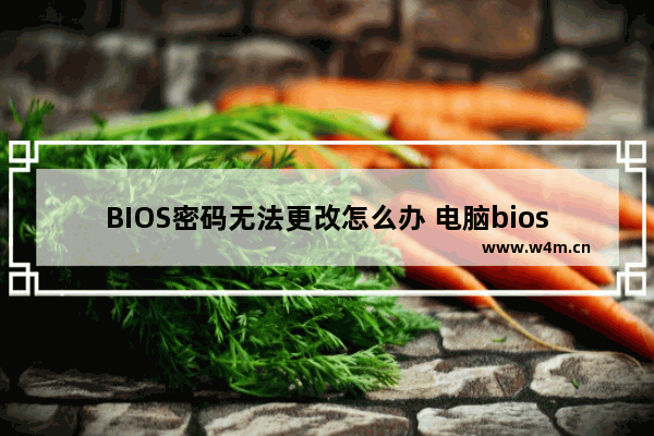 BIOS密码无法更改怎么办 电脑bios密码更改