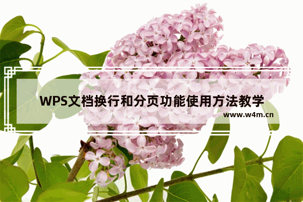 WPS文档换行和分页功能使用方法教学