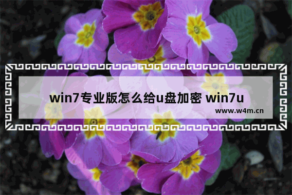 win7专业版怎么给u盘加密 win7u盘加密码怎么设置