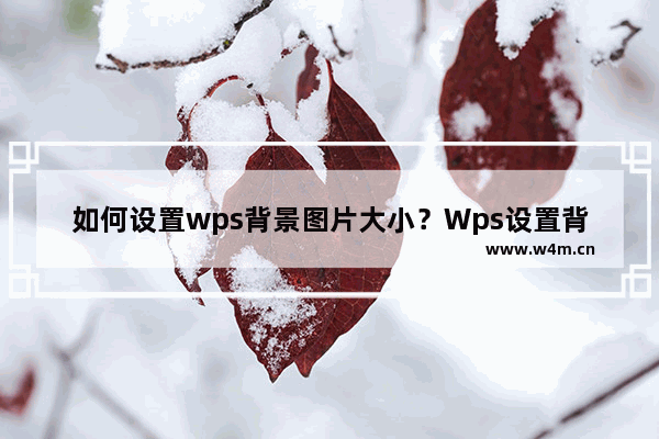 如何设置wps背景图片大小？Wps设置背景图片大小的方法