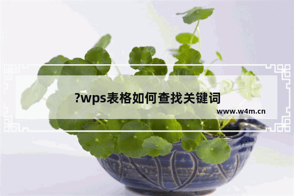 ?wps表格如何查找关键词