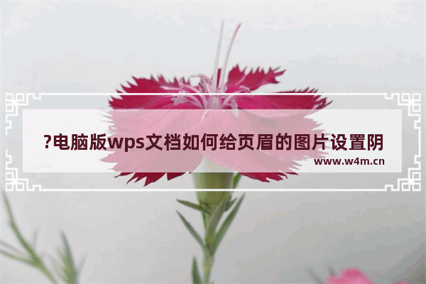 ?电脑版wps文档如何给页眉的图片设置阴影