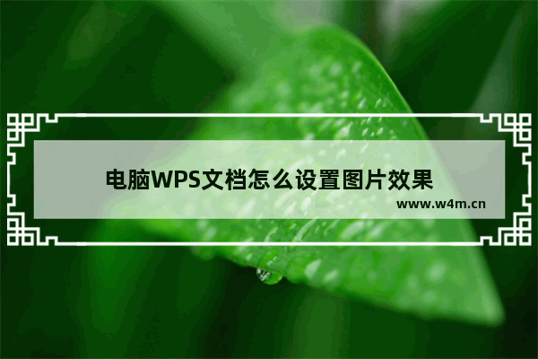 电脑WPS文档怎么设置图片效果