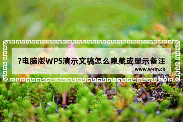 ?电脑版WPS演示文稿怎么隐藏或显示备注面板