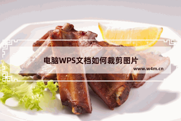 电脑WPS文档如何裁剪图片