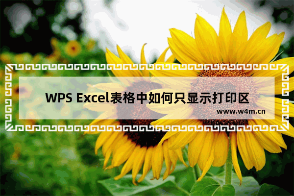 WPS Excel表格中如何只显示打印区域