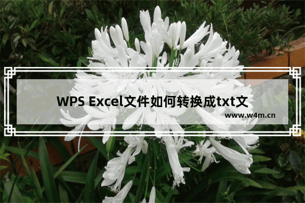 WPS Excel文件如何转换成txt文件